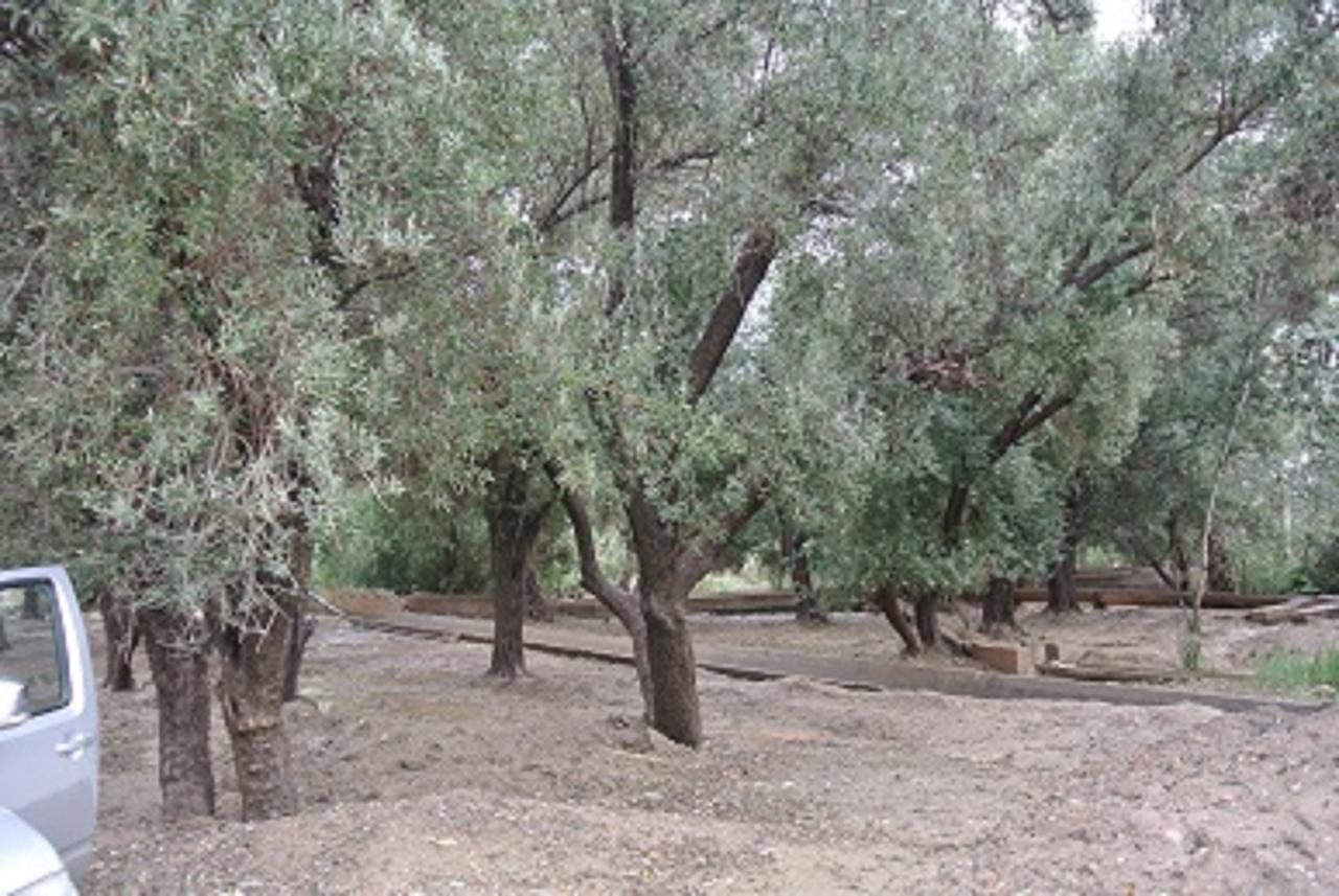 Riad Anma Taroudant Dış mekan fotoğraf